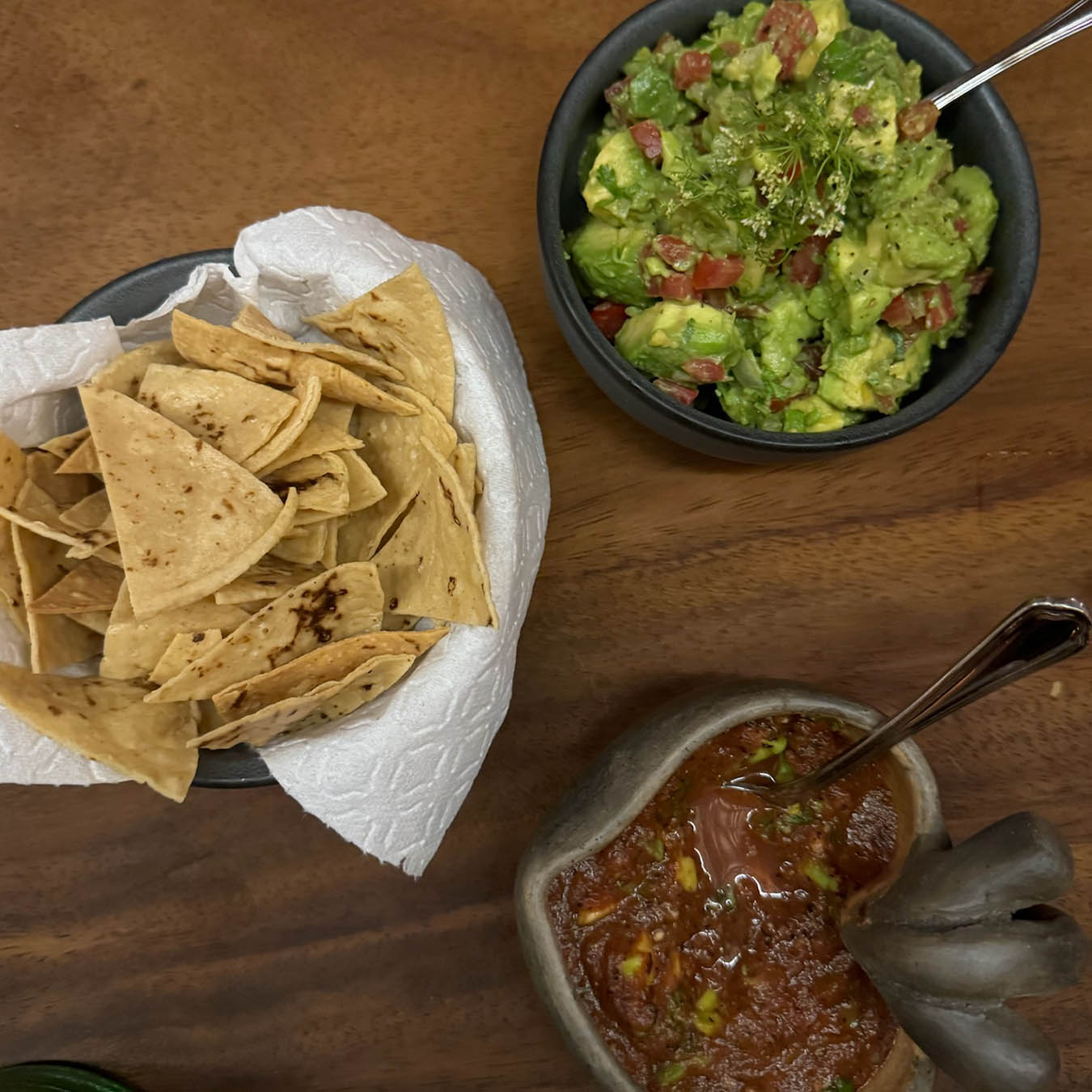 fresh-made tortilla chip, guacamole, and fresh salsa